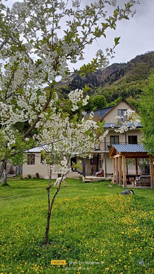 House B&B 메스티아 외부 사진