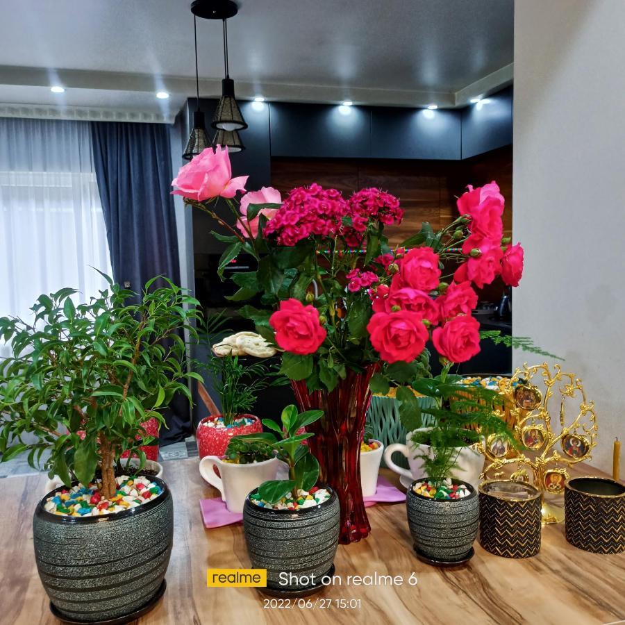 House B&B 메스티아 외부 사진