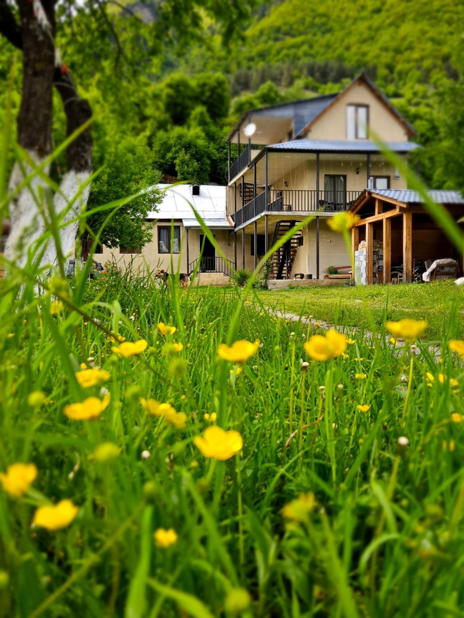 House B&B 메스티아 외부 사진
