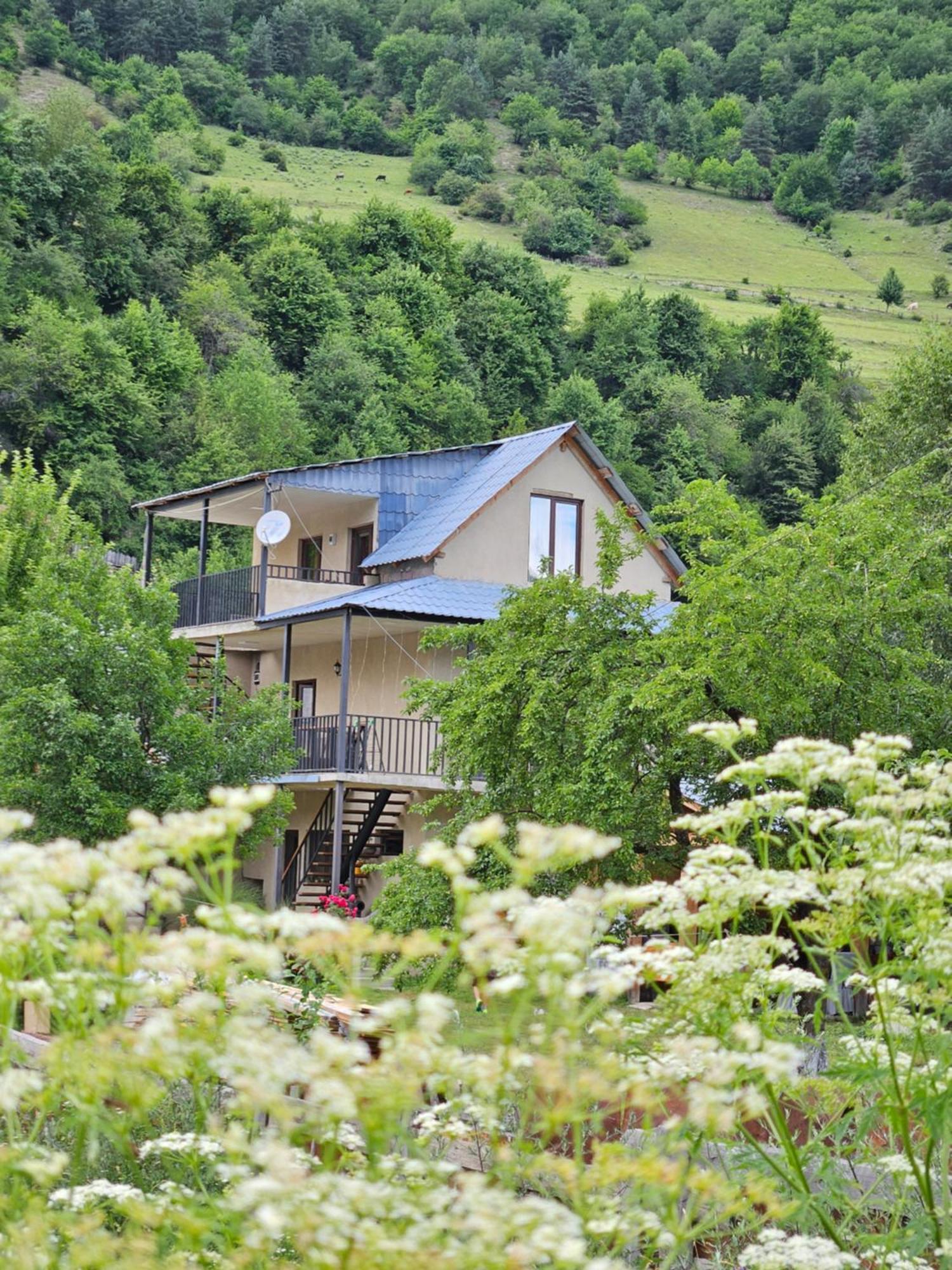 House B&B 메스티아 외부 사진